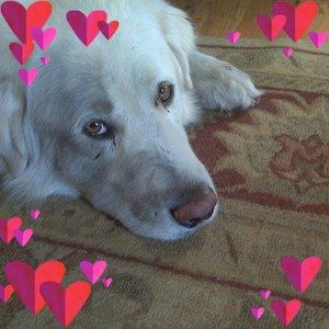 Meet your Posher, Mihaela